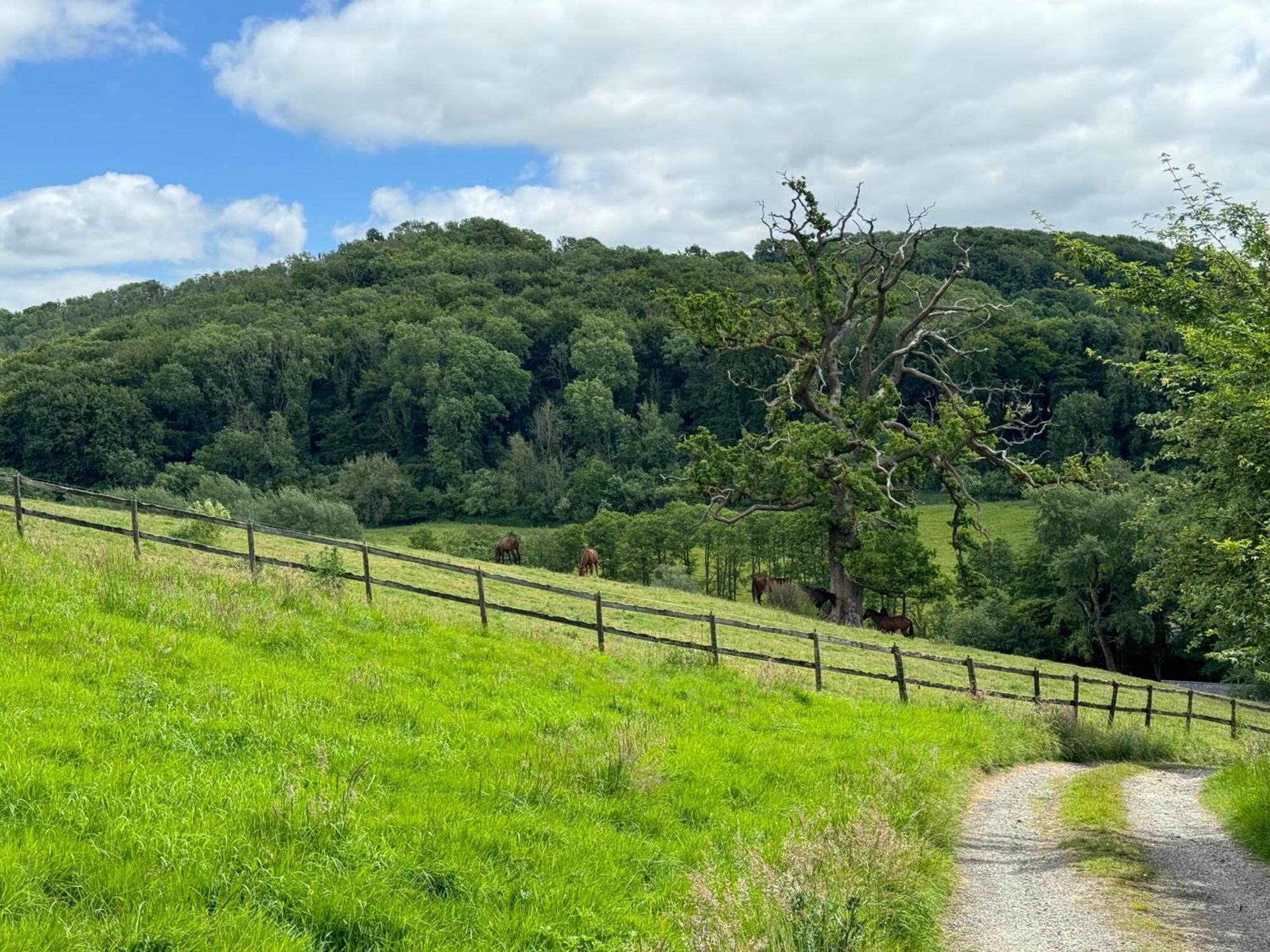 The Spring Slad Valley Cotswolds Painswick Esterno foto